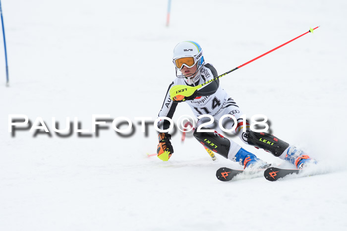5. BZB CUP SL; WFM 2018