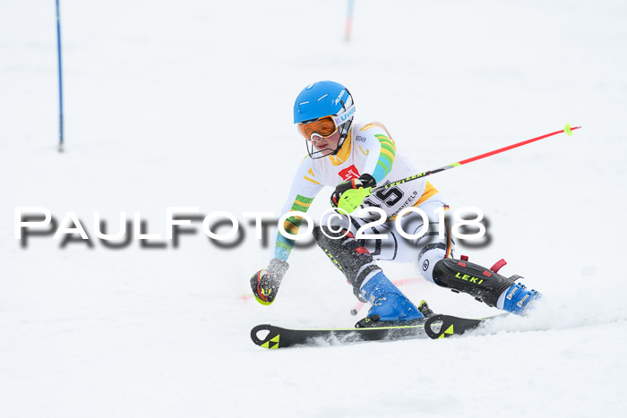 5. BZB CUP SL; WFM 2018