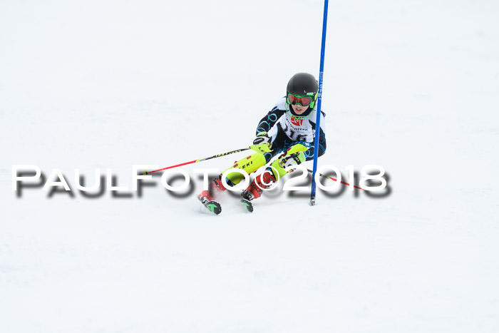 5. BZB CUP SL; WFM 2018