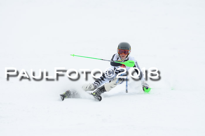 5. BZB CUP SL; WFM 2018