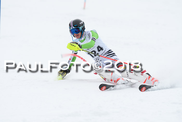5. BZB CUP SL; WFM 2018