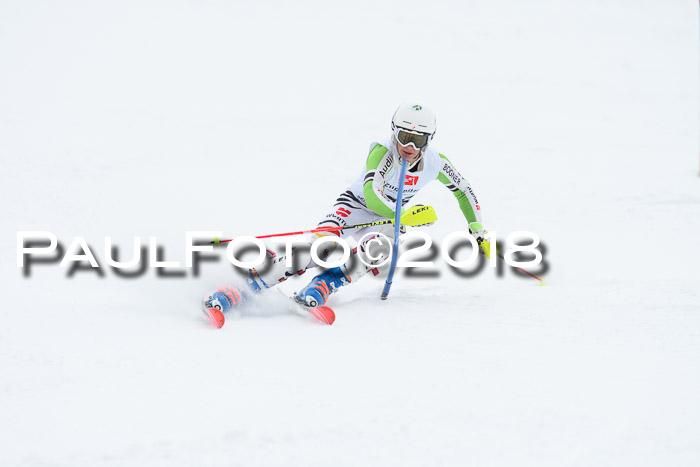 5. BZB CUP SL; WFM 2018