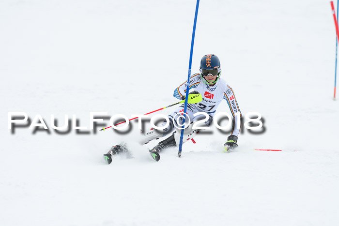 5. BZB CUP SL; WFM 2018