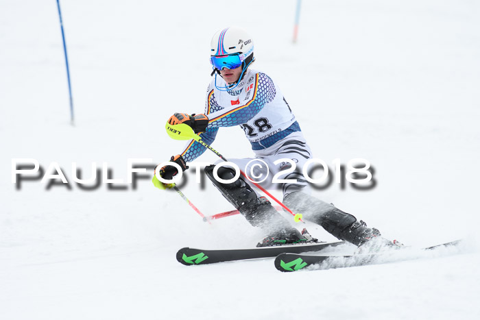 5. BZB CUP SL; WFM 2018