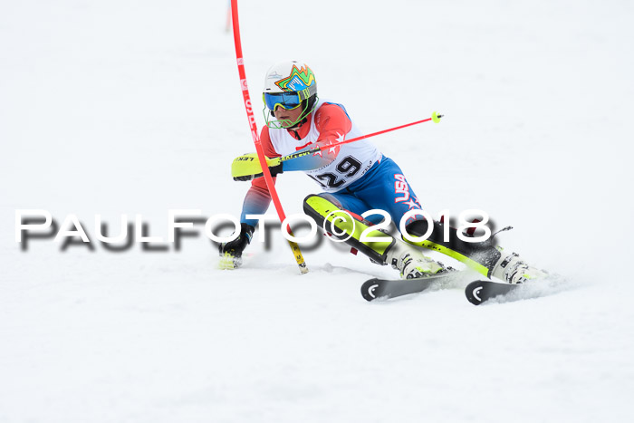 5. BZB CUP SL; WFM 2018