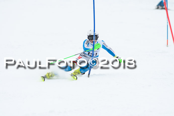 5. BZB CUP SL; WFM 2018