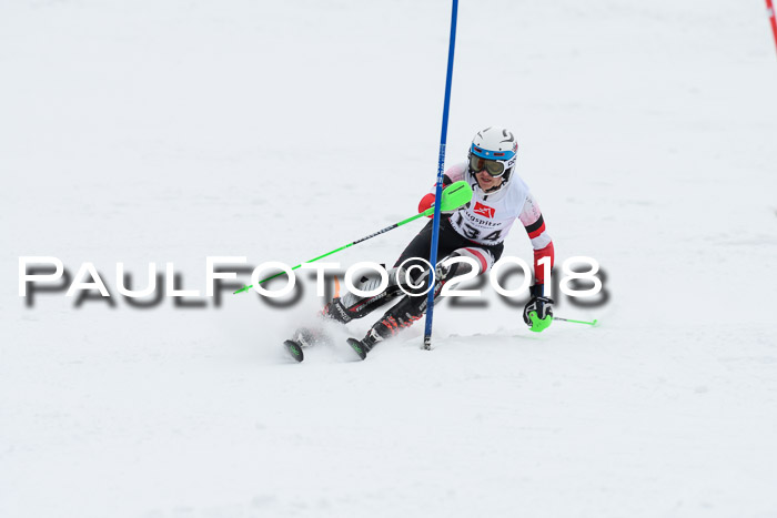 5. BZB CUP SL; WFM 2018