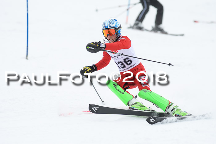 5. BZB CUP SL; WFM 2018