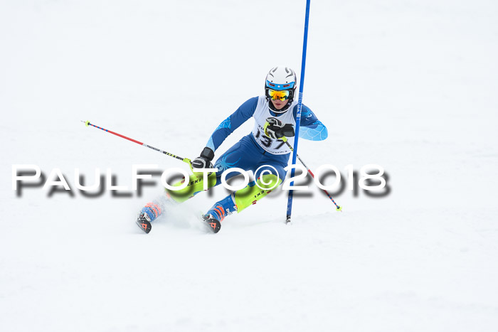 5. BZB CUP SL; WFM 2018