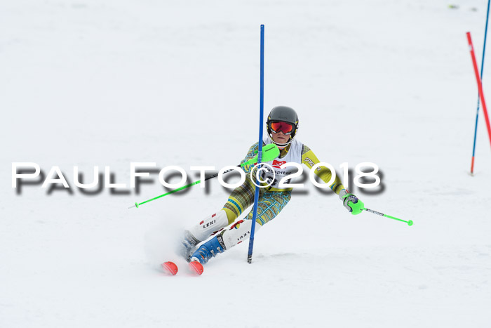5. BZB CUP SL; WFM 2018