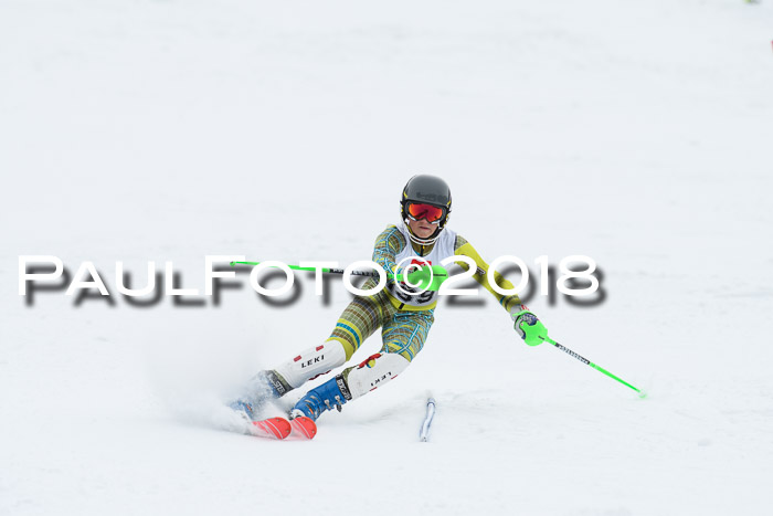 5. BZB CUP SL; WFM 2018