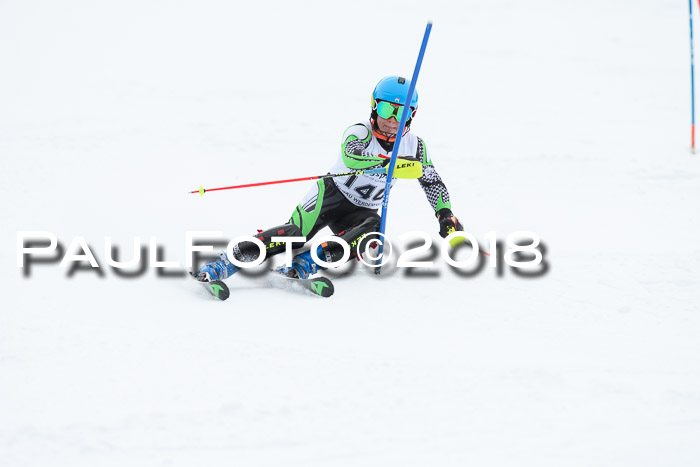 5. BZB CUP SL; WFM 2018