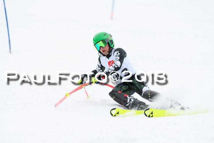 5. BZB CUP SL; WFM 2018