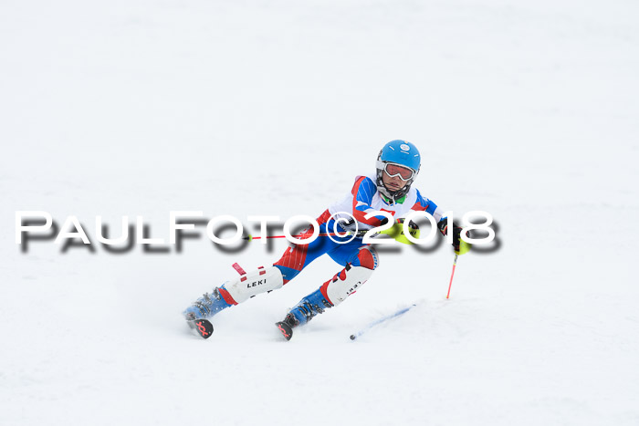5. BZB CUP SL; WFM 2018