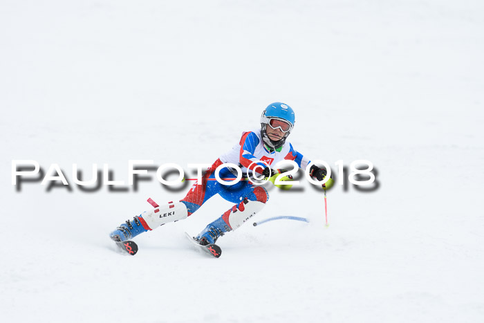 5. BZB CUP SL; WFM 2018