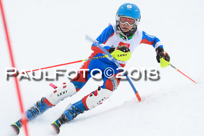 5. BZB CUP SL; WFM 2018