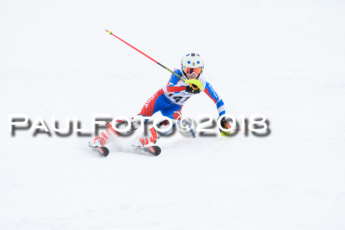 5. BZB CUP SL; WFM 2018