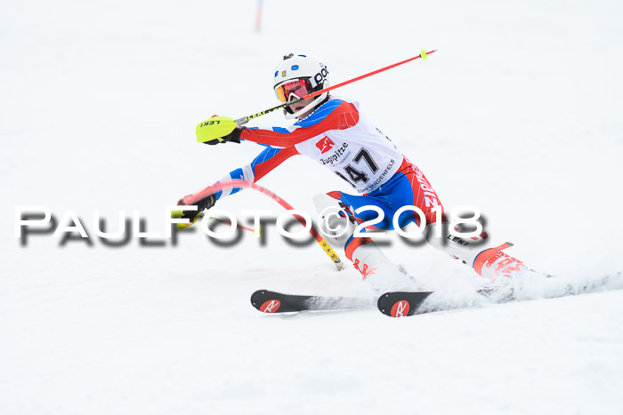 5. BZB CUP SL; WFM 2018