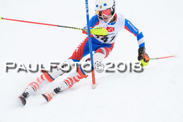 5. BZB CUP SL; WFM 2018