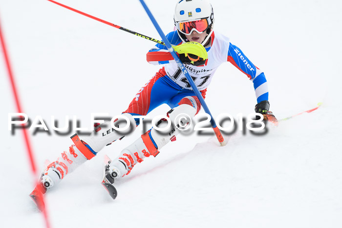 5. BZB CUP SL; WFM 2018