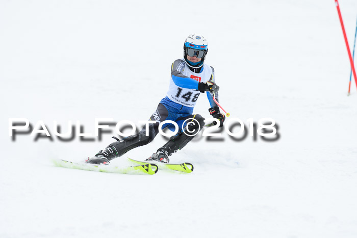 5. BZB CUP SL; WFM 2018
