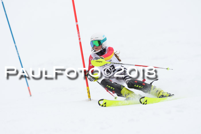 5. BZB CUP SL; WFM 2018