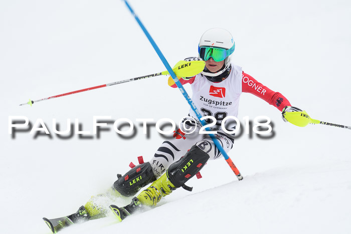 5. BZB CUP SL; WFM 2018