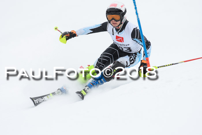 5. BZB CUP SL; WFM 2018