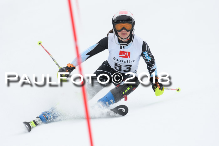 5. BZB CUP SL; WFM 2018