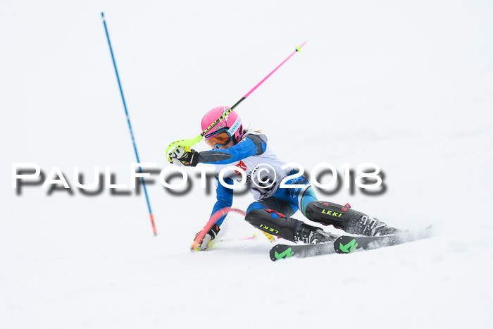 5. BZB CUP SL; WFM 2018