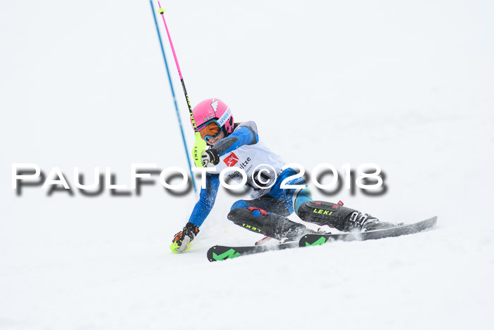 5. BZB CUP SL; WFM 2018
