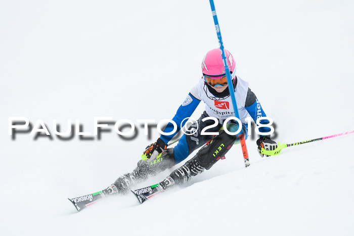 5. BZB CUP SL; WFM 2018