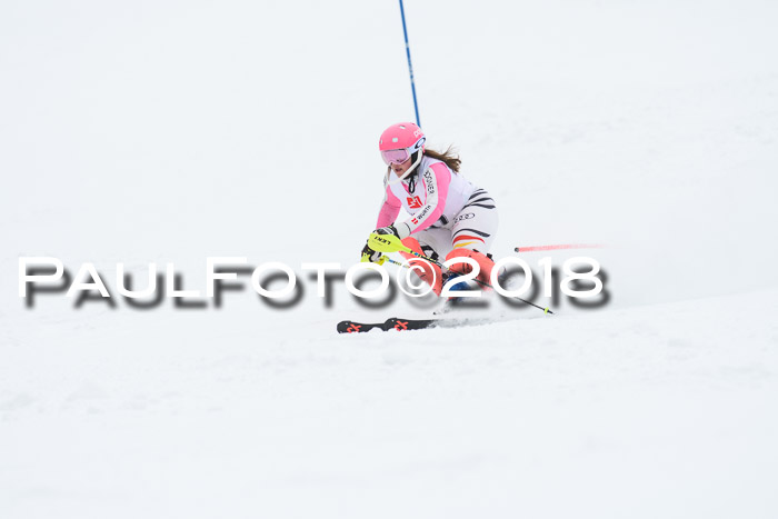 5. BZB CUP SL; WFM 2018