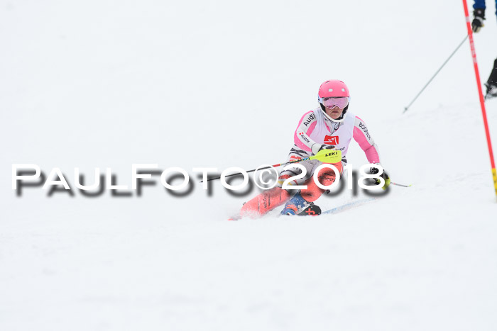 5. BZB CUP SL; WFM 2018