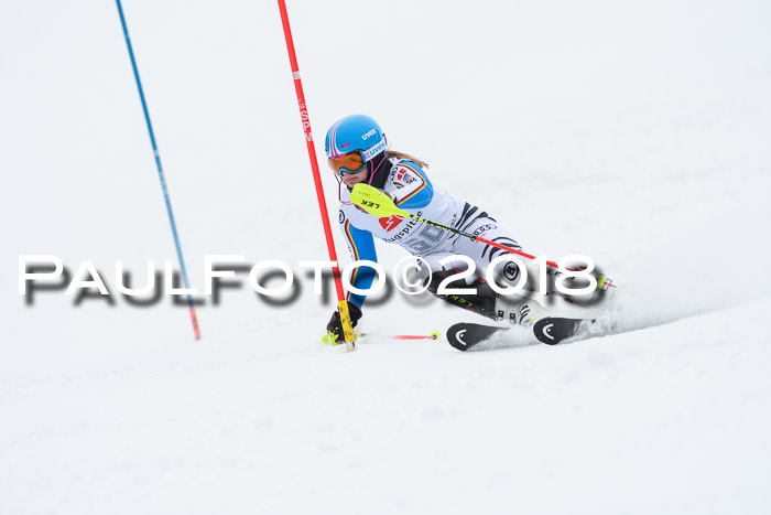 5. BZB CUP SL; WFM 2018