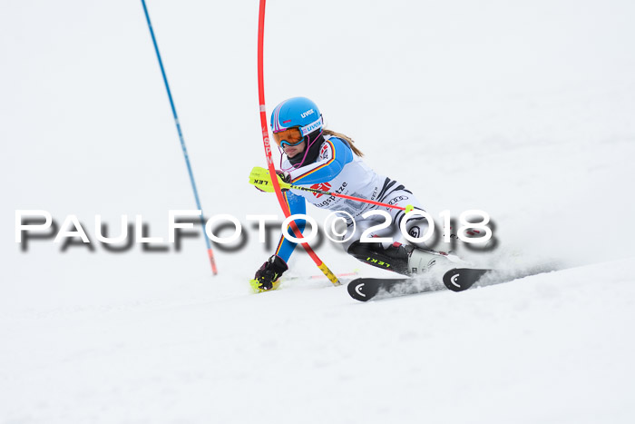 5. BZB CUP SL; WFM 2018