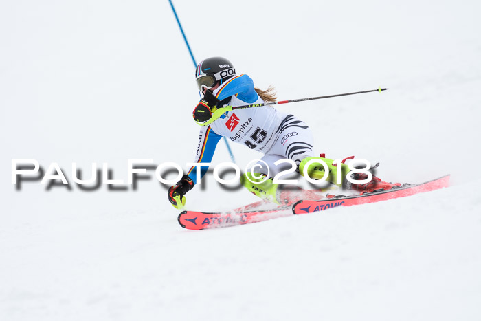 5. BZB CUP SL; WFM 2018