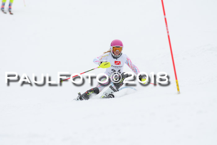 5. BZB CUP SL; WFM 2018