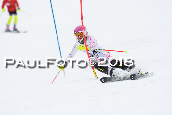 5. BZB CUP SL; WFM 2018