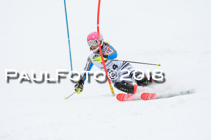 5. BZB CUP SL; WFM 2018