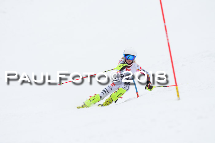5. BZB CUP SL; WFM 2018
