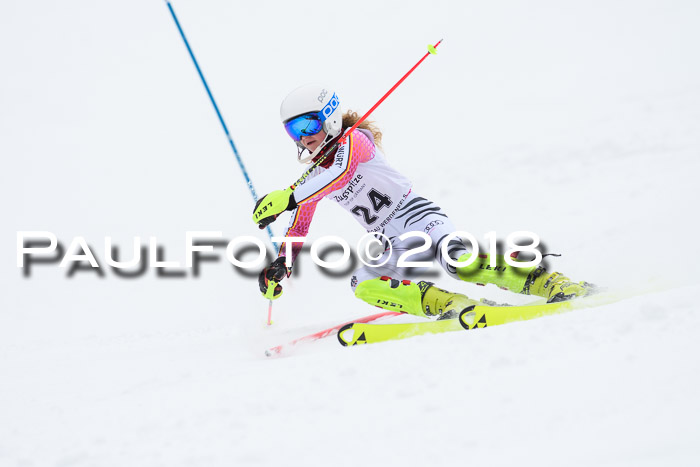5. BZB CUP SL; WFM 2018