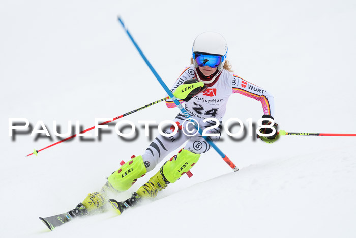 5. BZB CUP SL; WFM 2018