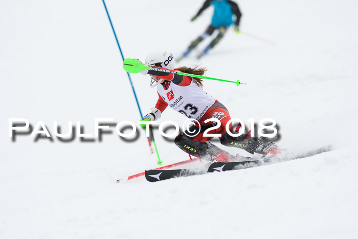 5. BZB CUP SL; WFM 2018