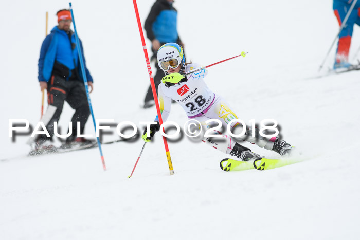 5. BZB CUP SL; WFM 2018