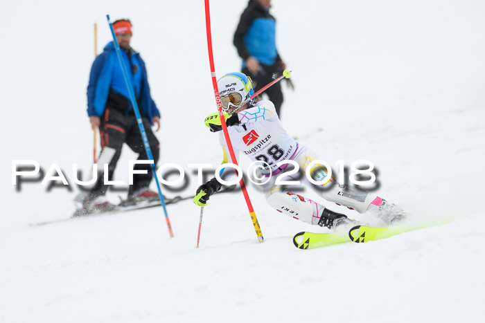 5. BZB CUP SL; WFM 2018