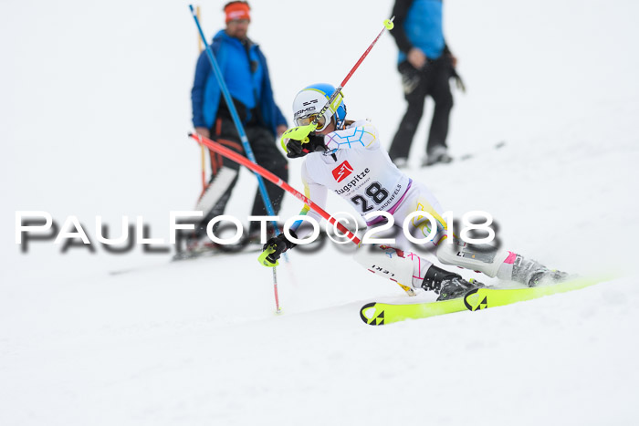 5. BZB CUP SL; WFM 2018