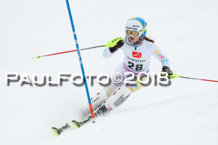 5. BZB CUP SL; WFM 2018