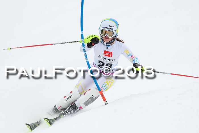 5. BZB CUP SL; WFM 2018