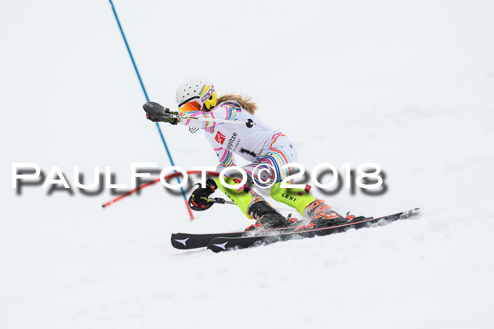5. BZB CUP SL; WFM 2018